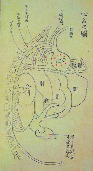 《凌门传授铜人指穴》传本存真图