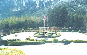 云南白药集团七花有限责任公司