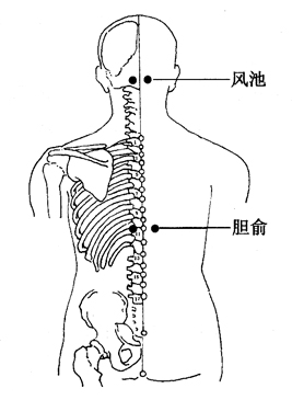 图7-4-2风池、胆俞