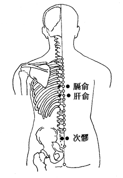 图5-2-1膈俞、肝俞、次s