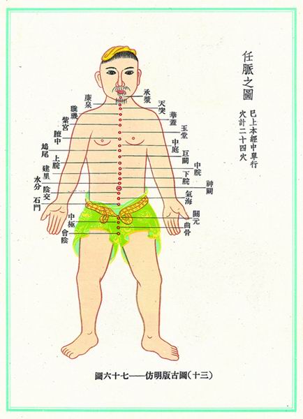 《新针灸学》经穴图 