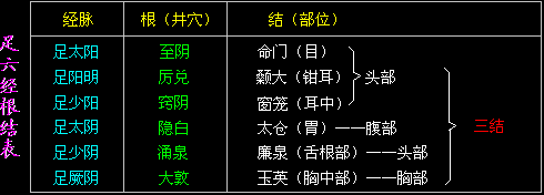 经络的根结、标本与气街、四海