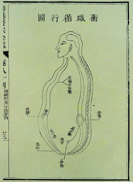 《医宗金鉴》奇经八脉图 