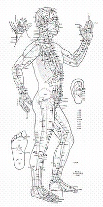 《针灸学》附经穴图