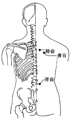 肺痨的刮痧疗法