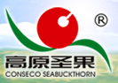 鄂尔多斯市高原圣果生态建设开发有限公司
