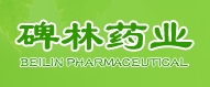 西安碑林药业股份有限公司