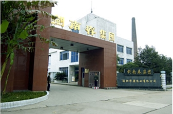 四川美大康华康药业有限公司