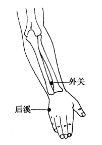 图3-2-2外关、后溪