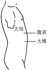 图13-2腹哀穴取穴图