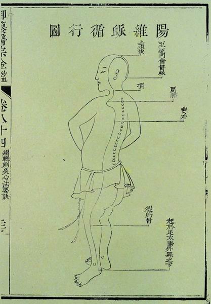 《医宗金鉴》奇经八脉图 