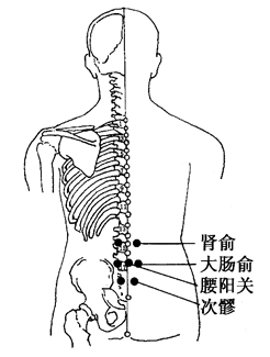 图2-23-1肾俞、大肠俞、腰阳关、次s