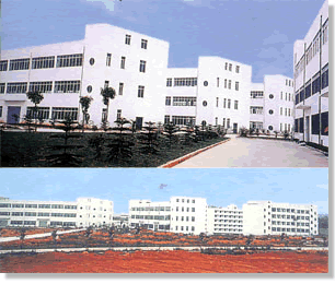 深圳市宝安外经发展有限公司