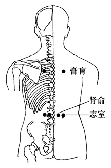图2-8-3膏肓、肾俞、志室