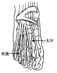 图2-14-4