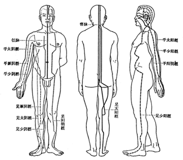 十二经脉