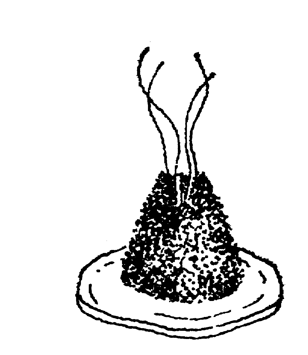 艾炷隔物灸法