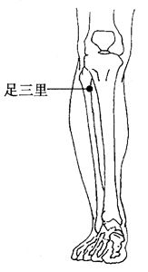 图2-6-3