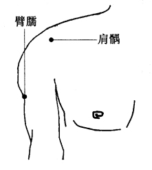 图2-19-4肩k、臂