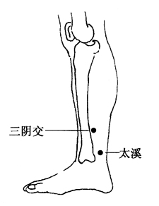图5-4-3三阴交、太溪