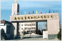 廊坊龙翼精细化工有限公司