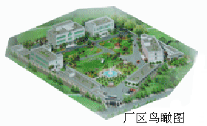 四川省迪威药业有限责任公司