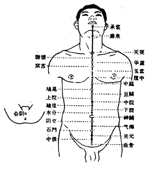 人体健康长寿的要穴：会阴穴