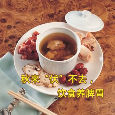 秋来“伏”不去，饮食养脾胃