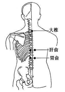 图2-12-1大椎、肝俞、胃俞