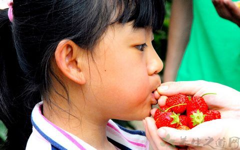 孩子多大才可以吃草莓