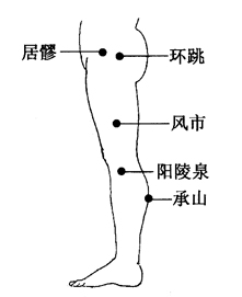 图2-19-2居s、环跳、风市、阳陵泉、承山