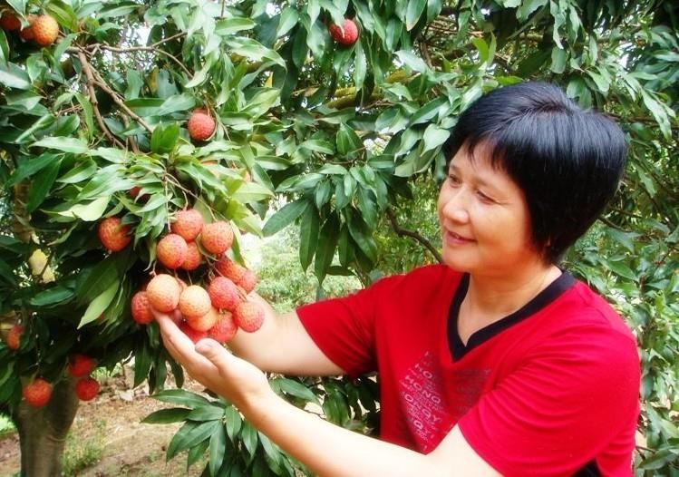肺癌应该怎么治？肺癌治疗最好方法