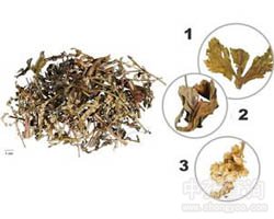 刘寄奴的功效与作用