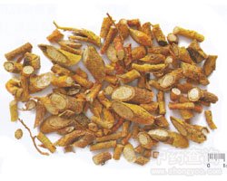 药材穿破石的功效与作用