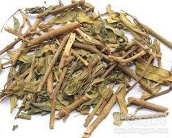 小驳骨的功效与作用