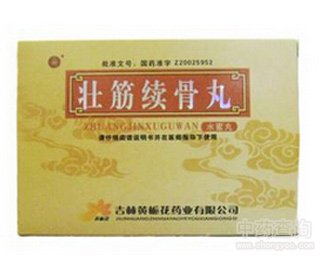 壮筋续骨丸