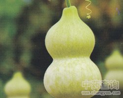葫芦的功效与作用