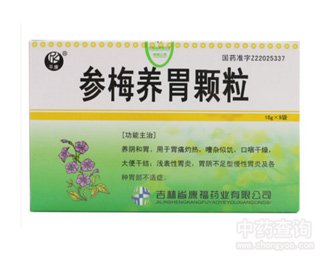 参梅养胃颗粒
