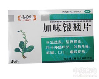 加味银翘片