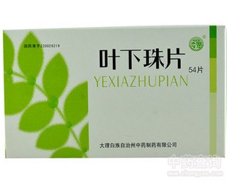 叶下珠片