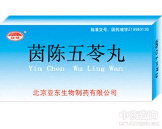 茵陈五苓丸