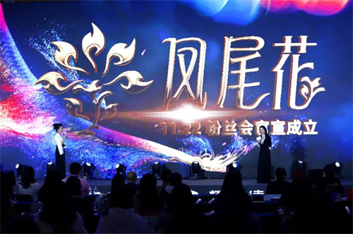 乌鸡白凤片X樊登读书，